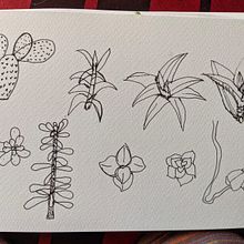 Mi proyecto del curso: Sketchbook botánico: una aproximación meditativa. Un progetto di Illustrazione tradizionale, Bozzetti, Disegno, Pittura ad acquerello, Illustrazione botanica e Sketchbook di Lorena Valderrama Orduz - 14.09.2022