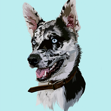 Pet Illustrations. Traditional illustration project by Sandy Anger - 09.14.2022