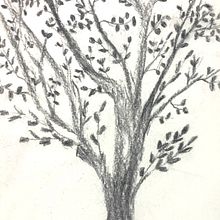 ÁRBOL CARBONCILLO 1BA . % Ivet Martínez tarafından hazırlanan Geleneksel illüstras, Ve on projesi - 09.15.2022