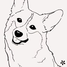 Différentes esquisses d'animaux et de coquillages. Un progetto di Illustrazione tradizionale, Bozzetti, Creatività, Disegno, Sketchbook, Direzione artistica, Belle arti, Pittura, Disegno a matita, Disegno artistico e Illustrazione naturalistica di zagara - 16.09.2022