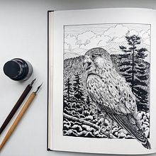 My project for course: Dip Pen and Ink Illustration: Capturing The Natural World. Un proyecto de Bocetado, Dibujo, Dibujo artístico, Sketchbook, Ilustración con tinta e Ilustración naturalista				 de Anna Petrikova - 16.09.2022