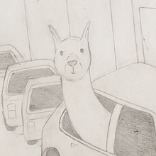 DA- Práctica dibujo memorizar 30 segundos (Llama). Drawing, Pencil Drawing, Artistic Drawing, and Traditional illustration project by Stephanie W - 09.17.2022