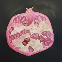 Pomegranat Botanical Watercolor: Illustrating Art and Science. Traditional illustration, Fine Arts, Painting, Drawing, Watercolor Painting, and Botanical Illustration project by suzalego - 09.17.2022