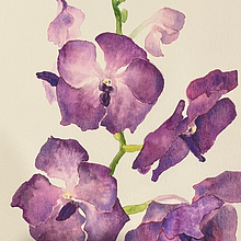My project for course: Botanical Illustration with Watercolors . Ilustrasi tradisional, Seni Rupa, Lukisan, Menggambar, Lukisan Cat Air & Ilustrasi Botani proyek oleh Lin - 09.18.2022