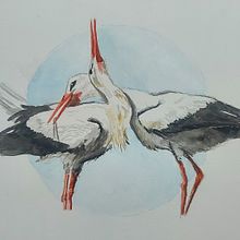 Mijn project van de cursus: Vogels illustreren met artistieke aquarel. Un proyecto de Ilustración tradicional, Pintura a la acuarela, Dibujo realista e Ilustración naturalista				 de marieke_________ - 18.09.2022