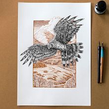 Hen Harrier - Dip pen and ink drawing . Un progetto di Illustrazione tradizionale e Artigianato di Philip Harris - 20.06.2022