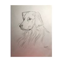Golden Retriever. Pencil Drawing, and Drawing project by kaurkarandeep_07 - 09.18.2022