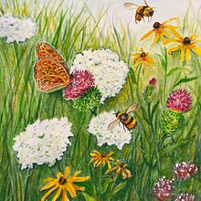 My project for course: Illustrating the Natural World with Watercolor and Charcoal. Un progetto di Illustrazione tradizionale, Pittura e Illustrazione naturalistica di Lynn Schneider - 18.09.2022