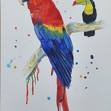 Aves exóticas . Traditional illustration, Watercolor Painting, Realistic Drawing, and Naturalistic Illustration project by Almerinda Guia - 09.19.2022