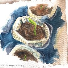 Sprouts. Un progetto di Bozzetti e Pittura ad acquerello di Heather - 11.01.2021