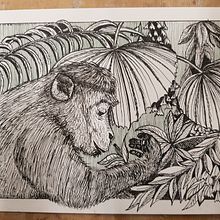 Mein Abschlussprojekt für den Kurs: Illustration mit Füller und Tinte: Natur zeichnen. Un progetto di Bozzetti, Disegno, Disegno artistico, Sketchbook, Illustrazione con inchiostro e Illustrazione naturalistica di m_rieb - 20.09.2022