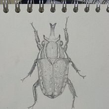Mi proyecto del curso: Ilustración científica aplicada al diseño de patrones. Projekt z dziedziny Trad, c, jna ilustracja, Pattern design, Ilustracja c, frowa, Ilustracja naturalist i czna użytkownika Daniela Rodriguez - 20.09.2022