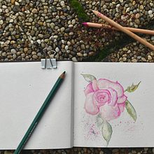 My project for course: Floral Drawings to Illustrate your Bullet Journal. Un progetto di Disegno e Illustrazione botanica di b_s - 20.09.2022