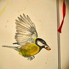 My project for course: Artistic Watercolor Techniques for Illustrating Birds. Un progetto di Illustrazione tradizionale, Pittura ad acquerello, Disegno realistico e Illustrazione naturalistica di b_s - 20.09.2022