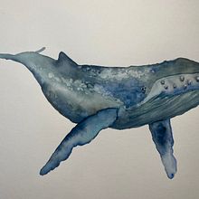 My project for course: Naturalist Illustration Techniques: Whales in Watercolor. Un progetto di Illustrazione tradizionale, Design di poster , Illustrazione digitale e Manga di b_s - 20.09.2022