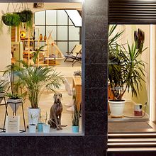 Belton Studio. Projekt z dziedziny Projektowanie wnętrz użytkownika Fran Bordell - 15.09.2021