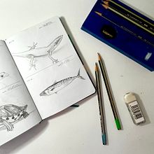 My daily drawing exercise. Projekt z dziedziny R i sunek ołówkiem użytkownika Jovana Spence - 18.09.2022