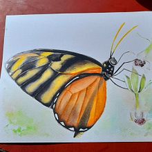 Mon projet du cours : Aquarelle réaliste et compositions botaniques. Un progetto di Illustrazione tradizionale, Pittura, Disegno, Pittura ad acquerello e Illustrazione botanica di dianawinter99216 - 22.09.2022