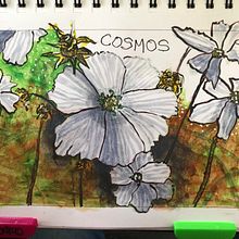 My project for course: Botanical Sketchbooking: A Meditative Approach. Un progetto di Illustrazione tradizionale, Bozzetti, Disegno, Pittura ad acquerello, Illustrazione botanica e Sketchbook di Katharine Russell - 18.09.2022