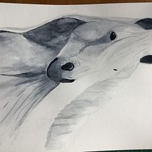 Horse in aquarel. Painting project by Miranda - 09.23.2022