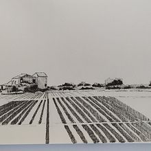 Dessins du cours. Traditional illustration, Sketching, Drawing, Sketchbook & Ink Illustration project by Sébastien - 09.23.2022