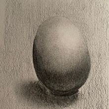 My project for course: Naturalistic Animal Drawing with Graphite Pencil. Traditional illustration, Pencil Drawing, Drawing, and Naturalistic Illustration project by jasonshields - 09.24.2022