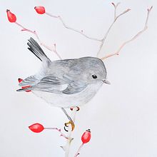Il mio progetto del corso: Illustrazione naturalistica: acquerello in positivo e negativo. Un proyecto de Ilustración tradicional, Bellas Artes, Pintura, Dibujo, Pintura a la acuarela, Ilustración botánica e Ilustración naturalista				 de Daniela Zaccheddu - 24.09.2022