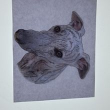 Mi proyecto del curso: Retratos de mascotas: técnicas para bordar pelaje. Design têxtil projeto de Victoria Marin - 26.12.2022