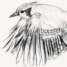 Sample of old sketches. Projekt z dziedziny Sketchbook i Sketching użytkownika Jess Chua - 24.09.2022