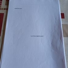 ABSENCIES . Een project van  Creativiteit, Verhaallijn, Creatief schrijven y Schrijven van Teresa Martí Rovira - 24.09.2022