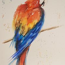 Ilustração araras . Ilustrasi tradisional, Dan Seni Rupa proyek oleh Simone Molina - 09.25.2022