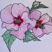 My project for course: Botanical Sketchbooking: A Meditative Approach. Ilustração tradicional, Esboçado, Desenho, Pintura em aquarela, Ilustração botânica, e Sketchbook projeto de teag.adamson - 20.09.2022