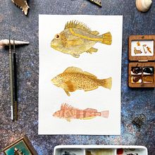 Pescaditos Vintage. Un proyecto de Pintura a la acuarela de Mayo Moreno - 26.09.2022