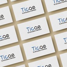  Manual corporativo - Ticae. Un proyecto de Diseño, Ilustración tradicional, Br e ing e Identidad de Eva Puig - 01.02.2019