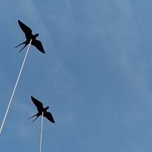 Come le rondini . % Lorenzo Gnata tarafından hazırlanan He, kel, Ve Konsept Sanatı projesi - 09.28.2022