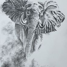 Charcoal drawings. Ilustração tradicional, e Artes plásticas projeto de Lilia Birnaz - 28.09.2022