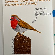 Il mio progetto del corso: Diario illustrato: un'abitudine per vivere ogni giorno con consapevolezza. Un proyecto de Bellas Artes, Bocetado, Creatividad, Dibujo y Sketchbook de robertamulas81 - 28.09.2022