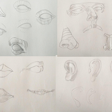 1DA- Práctica partes figura humana. Drawing, Pencil Drawing, Realistic Drawing, Artistic Drawing, Figure Drawing, Portrait Drawing, and Sketching project by Stephanie W - 09.28.2022