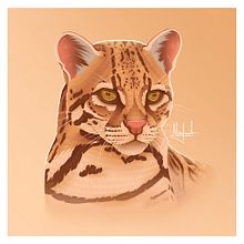 Proyectos en digital. Un progetto di Design e Illustrazione tradizionale di Nesi Sancho Pimentel - 28.09.2022