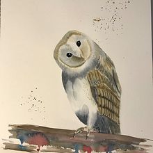 Mon projet du cours : Portraits expressifs d'animaux à l'aquarelle. Un progetto di Illustrazione tradizionale, Pittura ad acquerello, Disegno realistico e Illustrazione naturalistica di Lysanne Tanguay - 28.09.2022