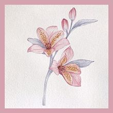 Mon projet du cours : Dessin et composition naturaliste à l’aquarelle. Traditional illustration, Drawing, Watercolor Painting, and Naturalistic Illustration project by Karine LaSalle - 09.28.2022