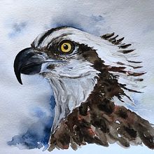 My project for course: Artistic Watercolor Techniques for Illustrating Birds. Projekt z dziedziny Malowanie akwarelą użytkownika Lolo Frei - 28.09.2022