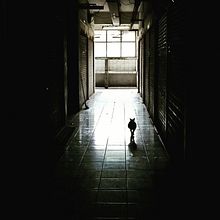Il mio progetto del corso: Palestra di scrittura: dal foglio bianco alla pratica quotidiana. Un proyecto de Escritura, Creatividad, Stor, telling, Narrativa y Escritura creativa de Valeria Gobbi - 30.09.2022