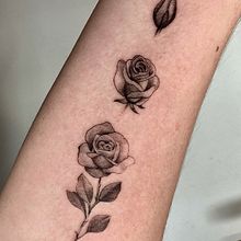 Mi proyecto del curso: Tatuaje botánico con puntillismo. Un projet de Illustration traditionnelle, Conception de tatouage et Illustration botanique de Conde Negro - 30.09.2022