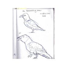 Mein Abschlussprojekt für den Kurs: Tägliches Sketching für kreative Inspiration Ein Projekt aus dem Bereich Traditionelle Illustration, Skizzenentwurf, Kreativität, Zeichnung und Sketchbook von Leoni G. - 01.10.2022