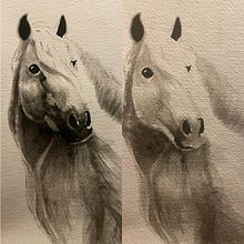 Grayscale horse watercolor. Artes plásticas projeto de Jennifer Hackett - 01.10.2022