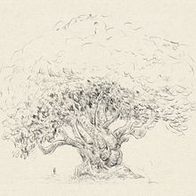 Tree sketches. Un proyecto de Dibujo, Dibujo a lápiz y Bocetado de Bartek Jędrzejczak - 02.10.2022