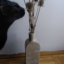 My project for course: Creating Your First Ceramic Vessel. Un proyecto de Diseño de complementos, Artesanía y Cerámica de Matea Bošnjak - 20.08.2022