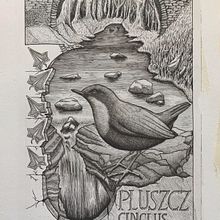 My project for course: Dip Pen and Ink Illustration: Capturing The Natural World. Un progetto di Bozzetti, Disegno, Disegno artistico, Sketchbook, Illustrazione con inchiostro e Illustrazione naturalistica di Krzysztof Kubik - 01.10.2022