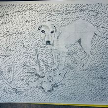 Hazel the Shed Dog. Een project van Traditionele illustratie van Sue Oberstar - 02.10.2022